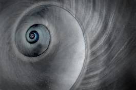 Naklejka spirala morze wellnes