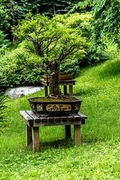 Plakat natura francja drzewa japoński sztuka