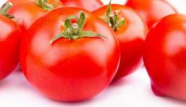 Plakat owoc rolnictwo pomidor natura warzywo