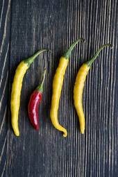 Fotoroleta jedzenie warzywo zbliżenie papryka chili przyprawa