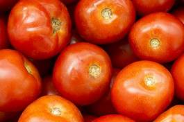 Naklejka warzywo pomidor owoc
