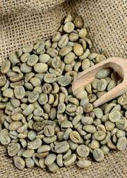 Naklejka ameryka południowa świeży rolnictwo kawa arabica