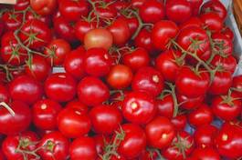 Naklejka tomaten auf dem markt