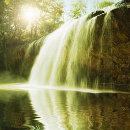 Fototapeta drzewa las słońce wodospad piękny