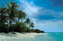 Plakat egzotyczny raj azja tropikalny wybrzeże