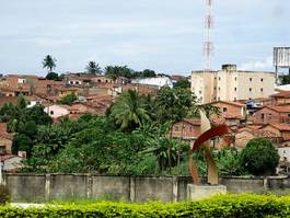Naklejka palma krajobraz brazylia widok miejski