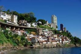 Plakat roślinność droga morze brazylia miasto