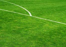 Plakat trawa boisko pole piłka nożna zielony