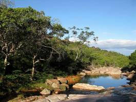 Obraz na płótnie roślinność park brazylia góra niebo