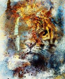 Plakat ssak safari piękny kot