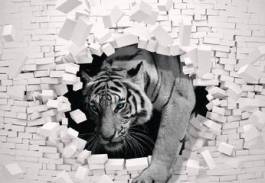 Obraz na płótnie tygrys tapeta rycina