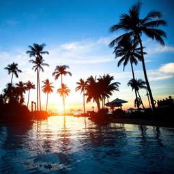 Obraz na płótnie zachód słońca wśród palm