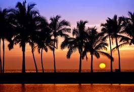 Plakat palmy przy zachodzie słońca - hawaje