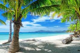 Obraz na płótnie plaża wśród palm