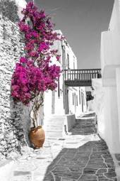 Fototapeta grecka uliczka - one color