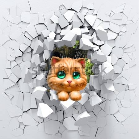 Fotoroleta obraz wzór kociak kot komiks