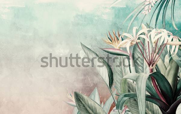 Fototapeta tropikalny tło kwiatowy kontekst