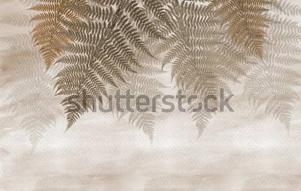 Fotoroleta drzewo mural pustynia tropikalny natura