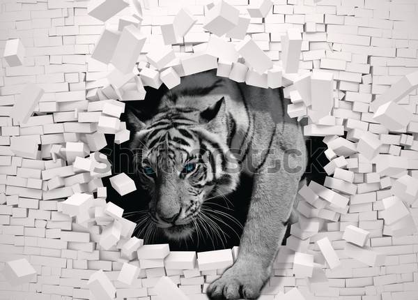 Obraz na płótnie tygrys tapeta rycina