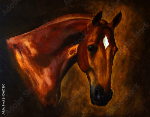 Obraz na płótnie koń wyścigowy koń zwierzę ssak