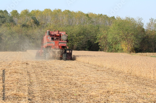 Plakat ziarno maszyna żniwa pole traktor