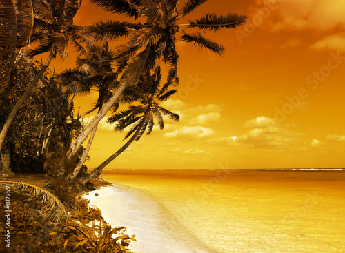 Fotoroleta słońce natura morze wyspa południe