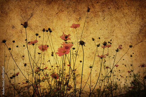 Naklejka kwiat pole krajobraz antyczny