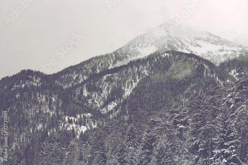 Obraz na płótnie drzewa retro alpy pejzaż bezdroża