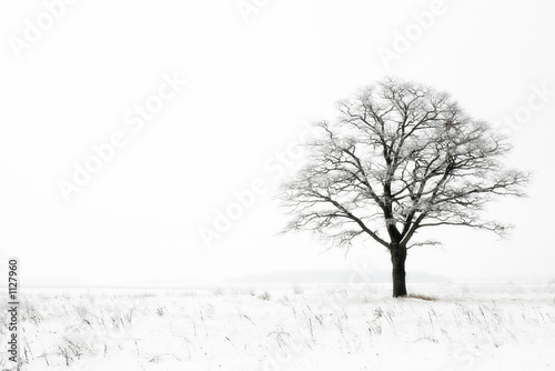 Fotoroleta północ śnieg wiejski pejzaż