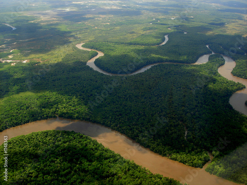 Plakat brazylia tropikalny las dziki delta