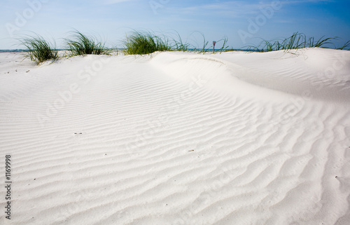 Fototapeta park plaża wydma morze pejzaż