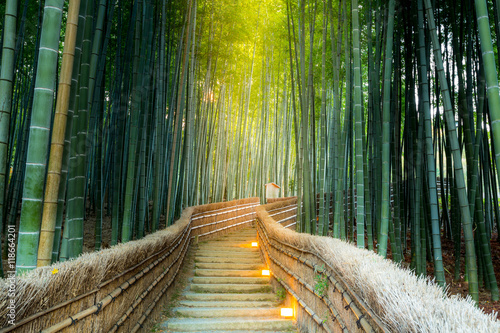 Obraz na płótnie ogród zen azja las drzewa