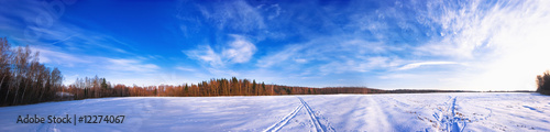 Obraz na płótnie łuk niebo drzewa pejzaż śnieg
