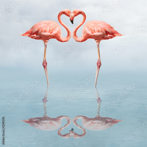 Naklejka ptak flamingo serce miłość