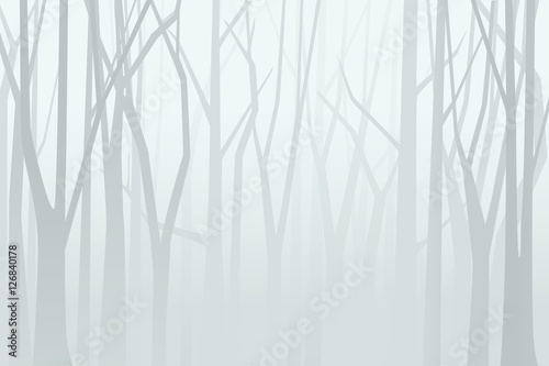 Obraz na płótnie Foggy forest. Vector illustration