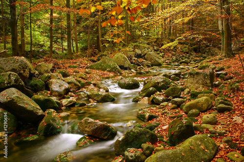 Fotoroleta jesień wodospad góra drzewa