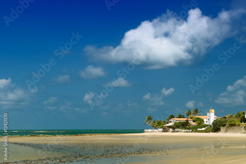 Obraz na płótnie drzewa plaża brazylia egzotyczny palma