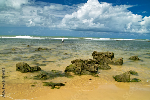 Fotoroleta wybrzeże egzotyczny brazylia