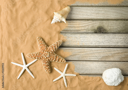 Obraz na płótnie gwiazda lato rozgwiazda natura plaża