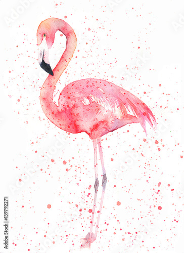 Fototapeta flamingo sztuka egzotyczny