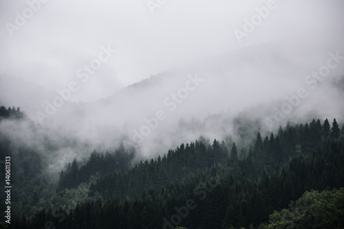 Fotoroleta drzewa natura góra pejzaż