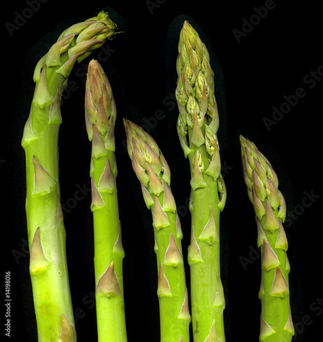 Obraz na płótnie zdrowy warzywo szparagi