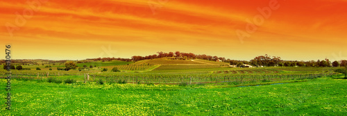 Fotoroleta piękny panoramiczny rolnictwo