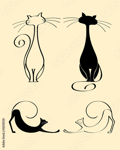 Plakat natura kot piękny ornament wzór