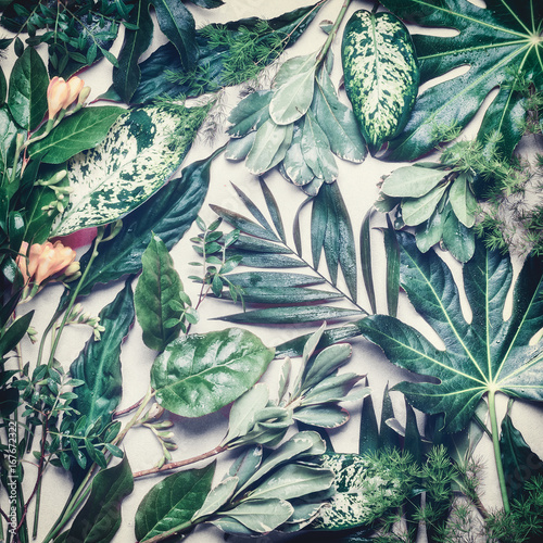 Fototapeta dżungla moda roślina wzór egzotyczny