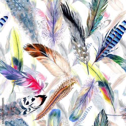 Fototapeta Watercolor bird feather pattern from wing. Aquarelle feather for background, texture, wrapper pattern, frame or border.