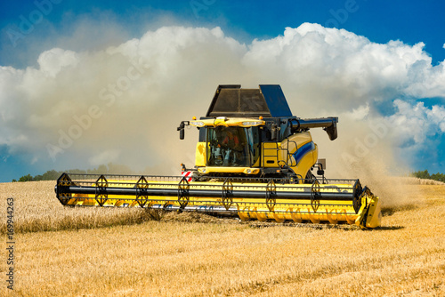 Obraz na płótnie pole rolnictwo jęczmień pszenica lato