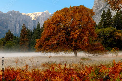 Obraz na płótnie jesień góra yosemite droga