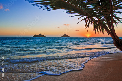 Plakat hawaje plaża tropikalny o'ahu