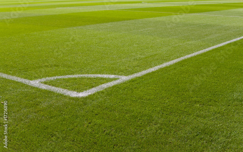 Fotoroleta trawa stadion piłka nożna boisko pole